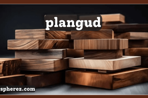 plangud